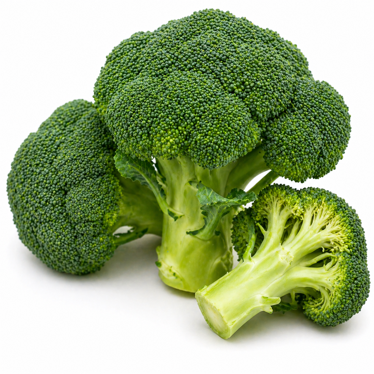 Broccoli