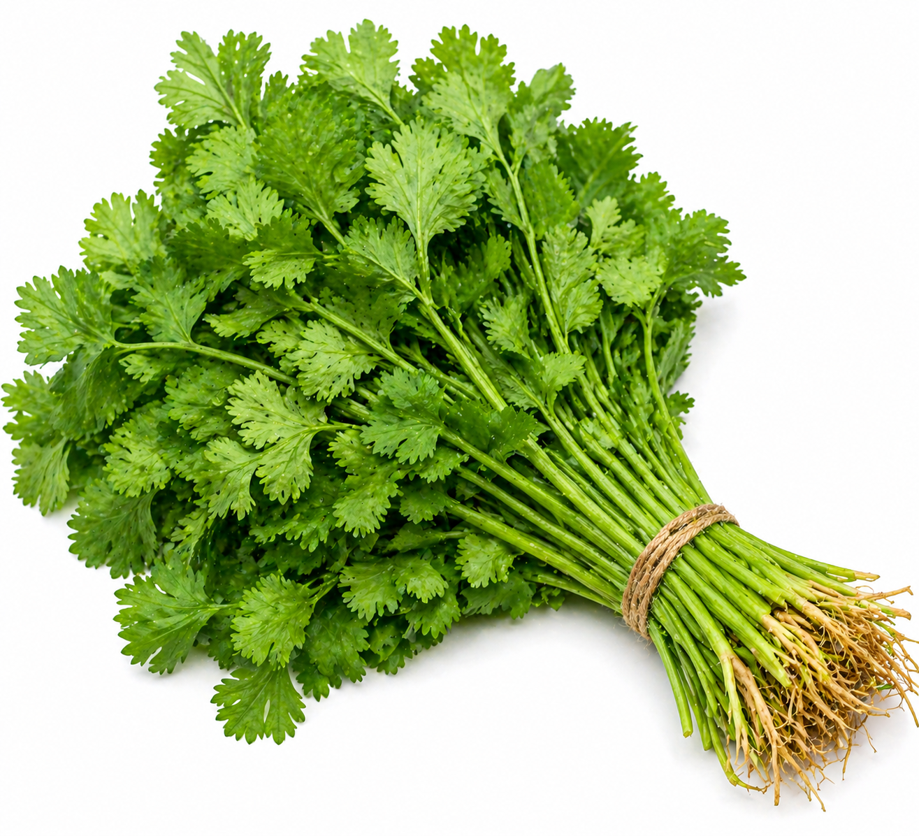 Mint Leaves