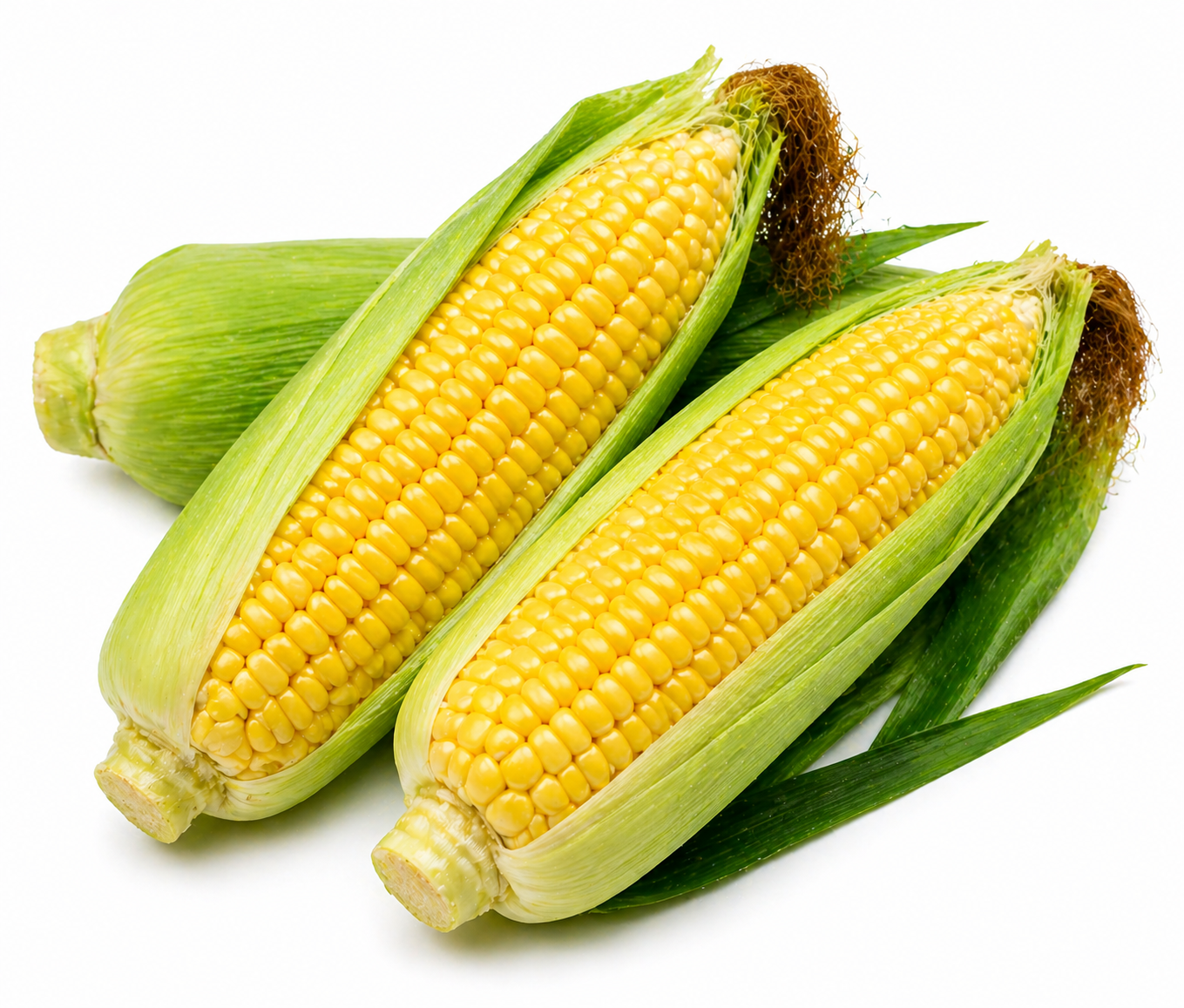 Sweet Corn